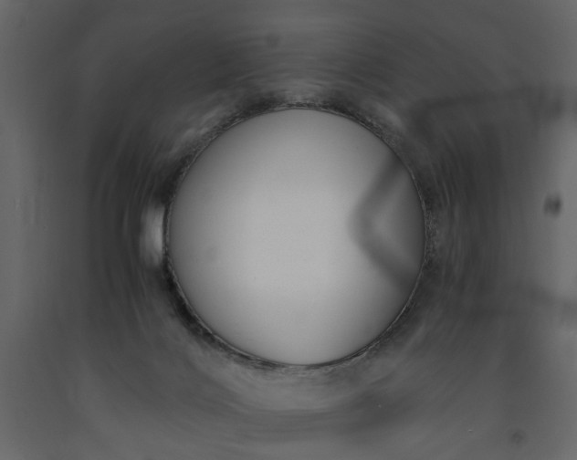 X0000091520028200708241659