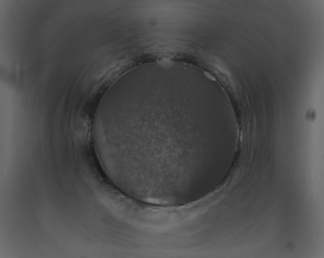 X0000091520029200708241659