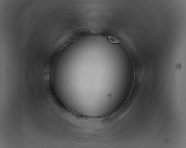 X0000091520032200708241659