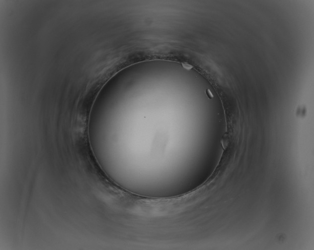 X0000091520033200708241659