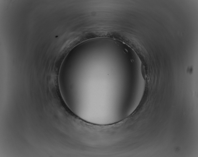 X0000091520035200708241659
