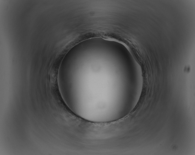X0000091520037200708241659