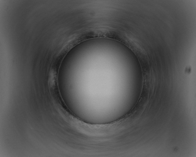 X0000091520038200708241659