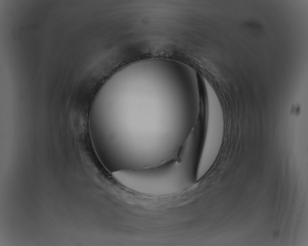 X0000091520039200708241659