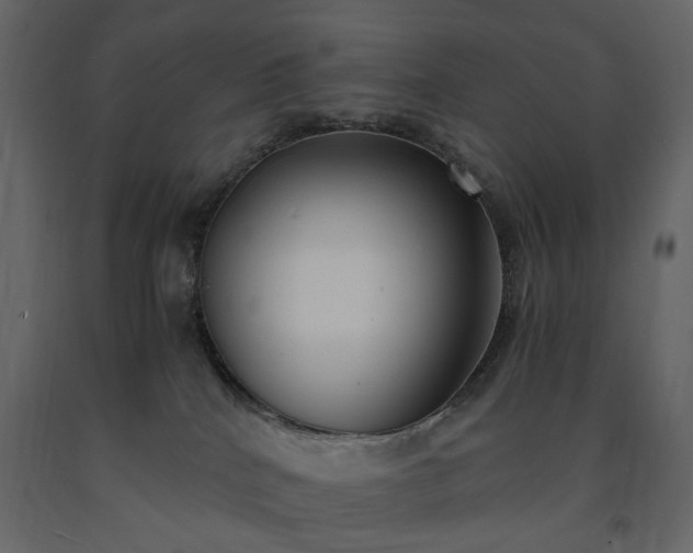 X0000091520040200708241659