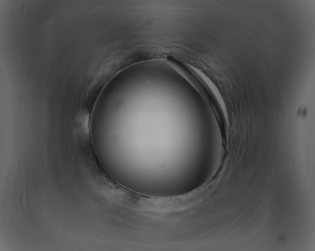 X0000091520041200708241659