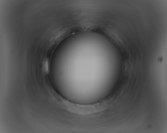 X0000091520042200708241659