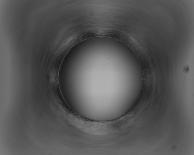 X0000091520044200708241659