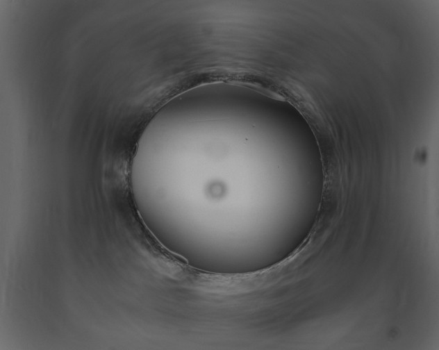 X0000091520045200708241659