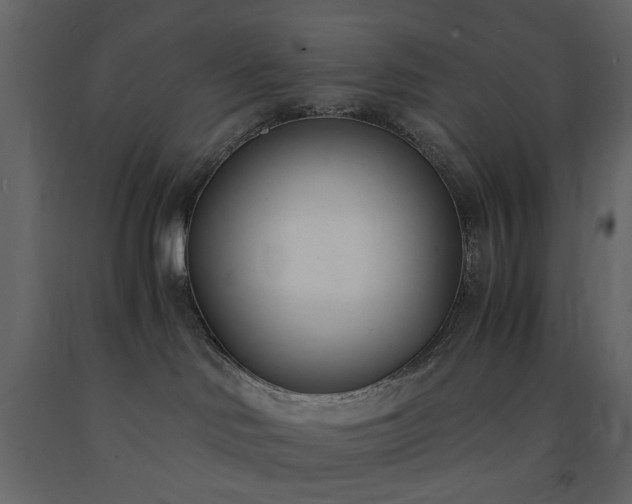 X0000091520046200708241659