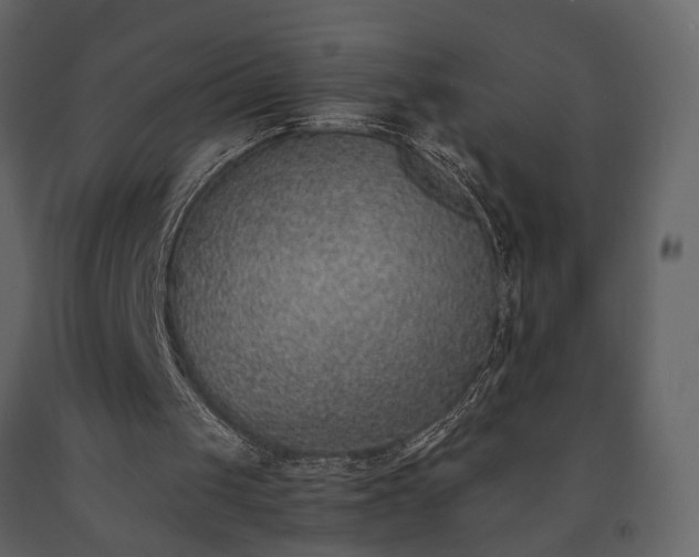X0000091520049200708241658