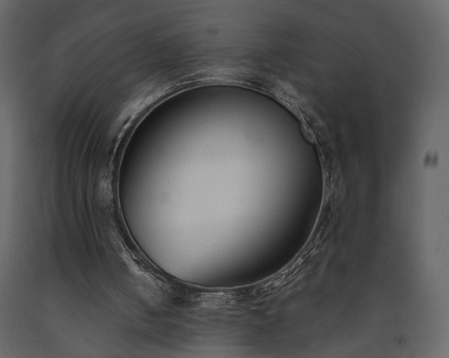 X0000091520050200708241658