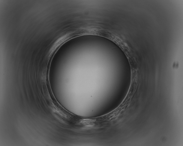 X0000091520051200708241658