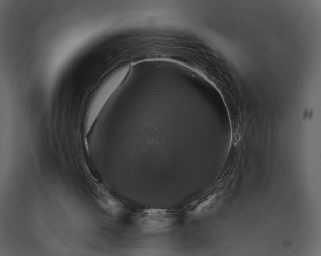 X0000091520052200708241658