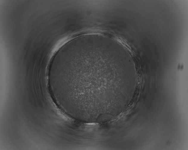X0000091520053200708241658