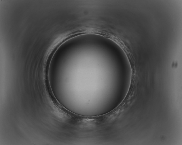 X0000091520055200708241658