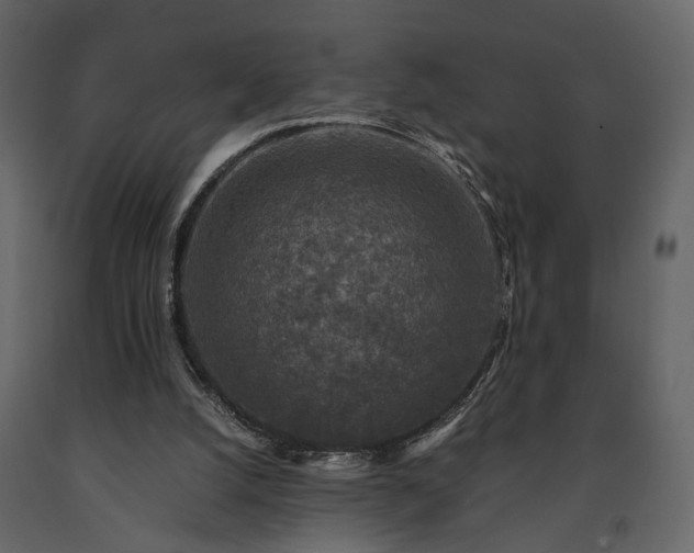 X0000091520056200708241658