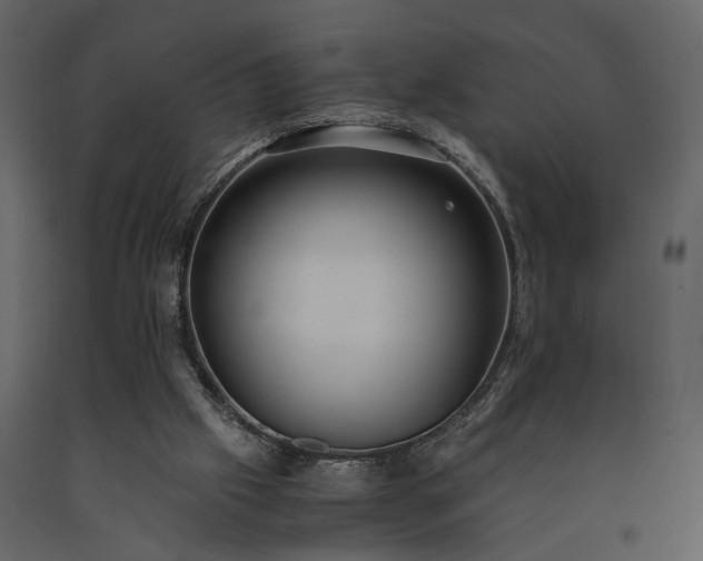 X0000091520057200708241658
