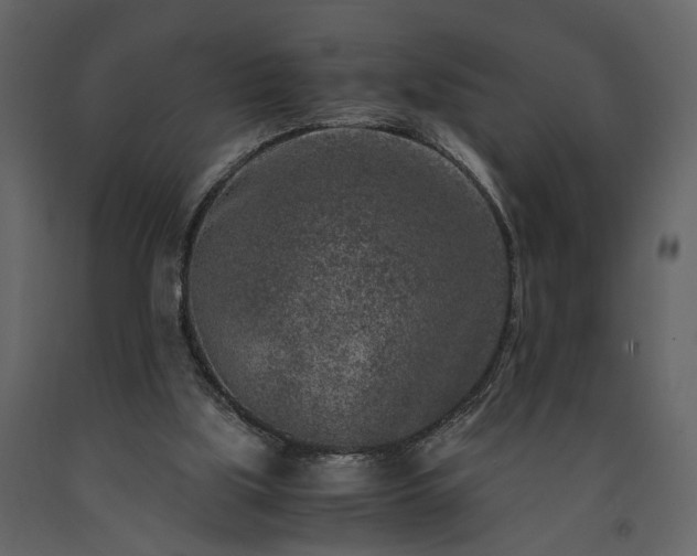 X0000091520059200708241658