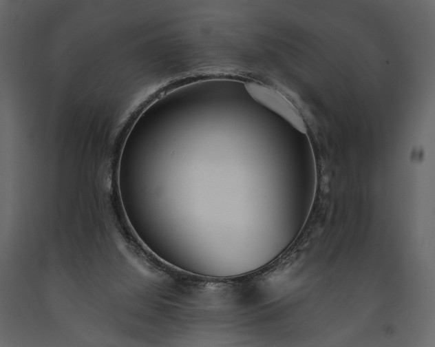 X0000091520060200708241658