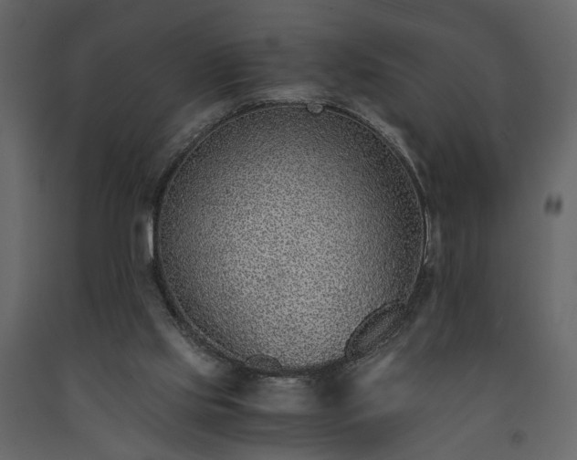 X0000091520061200708241658