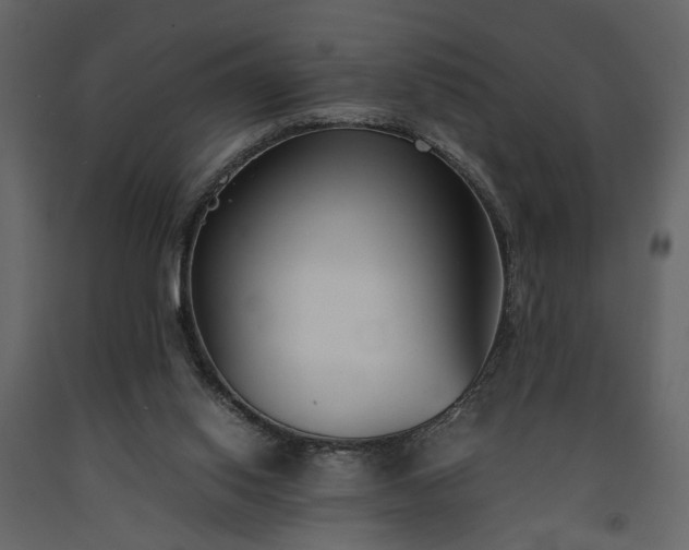 X0000091520062200708241658