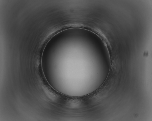 X0000091520063200708241658