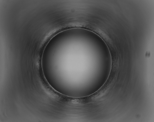 X0000091520064200708241658