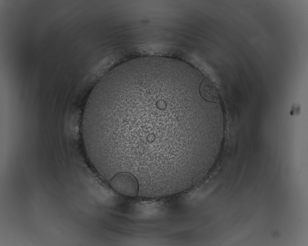 X0000091520065200708241658