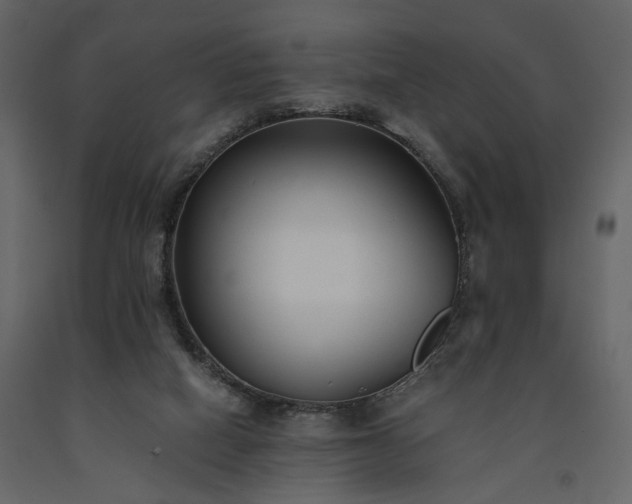 X0000091520066200708241658