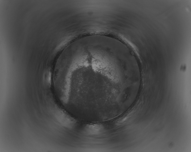 X0000091520067200708241658