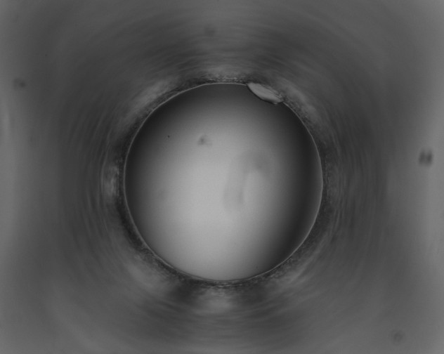 X0000091520071200708241658