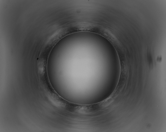 X0000091520074200708241659