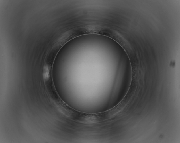 X0000091520075200708241659