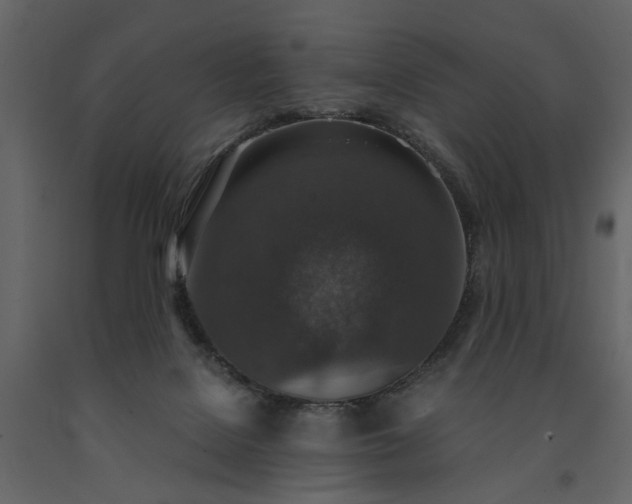 X0000091520076200708241659