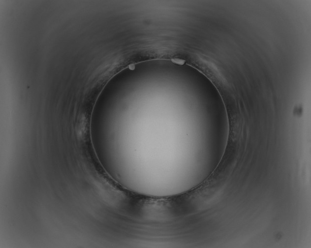 X0000091520077200708241659