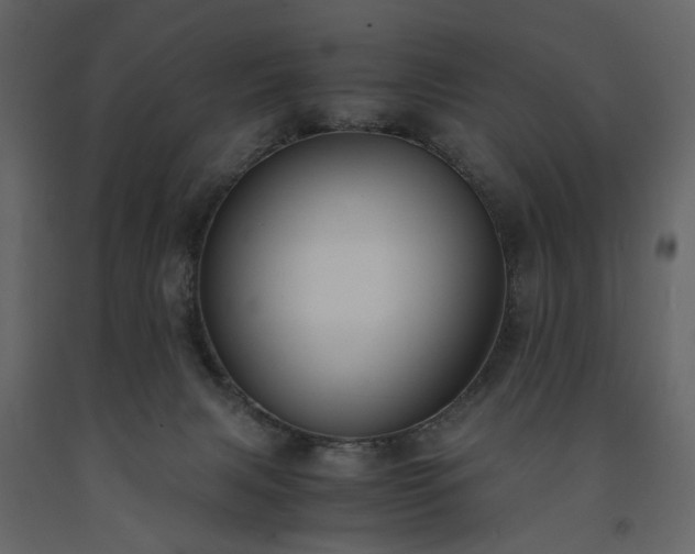 X0000091520079200708241659