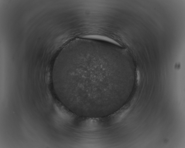X0000091520080200708241659