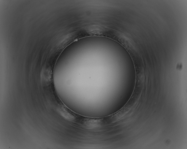 X0000091520081200708241659