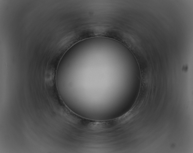 X0000091520082200708241659