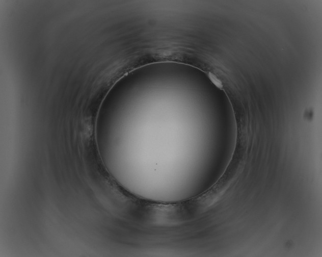 X0000091520085200708241659
