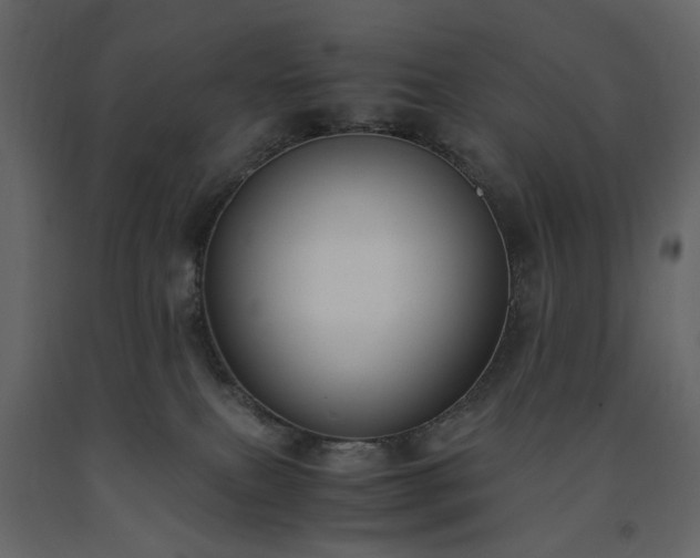 X0000091520087200708241659