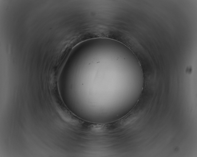 X0000091520088200708241659