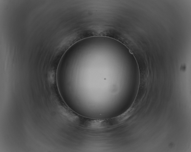 X0000091520090200708241659
