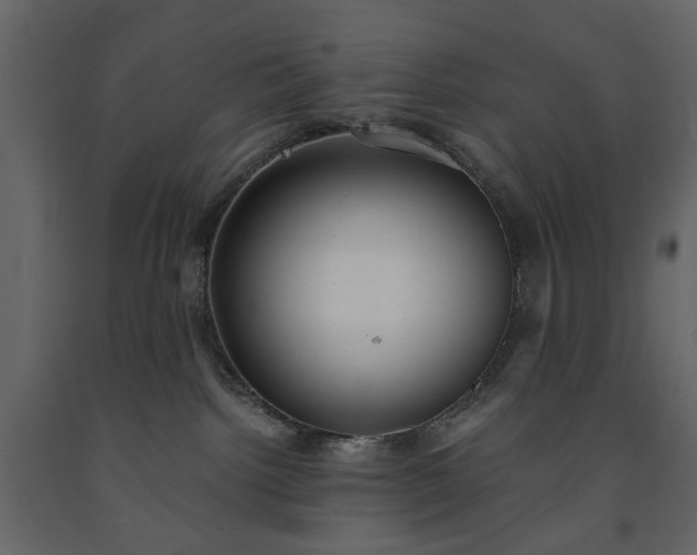 X0000091520092200708241659