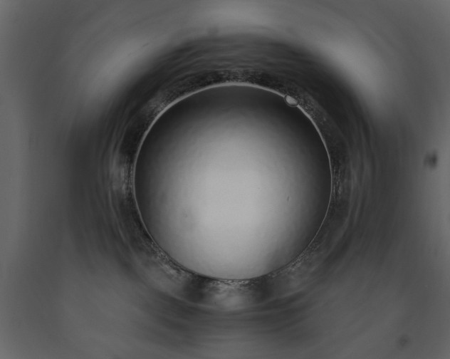 X0000091520093200708241659