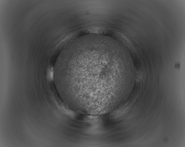X0000091520095200708241659