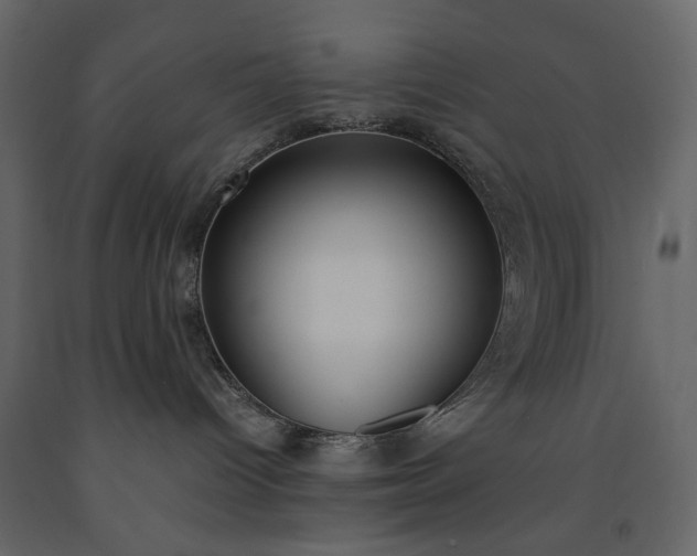 X0000091520096200708241659