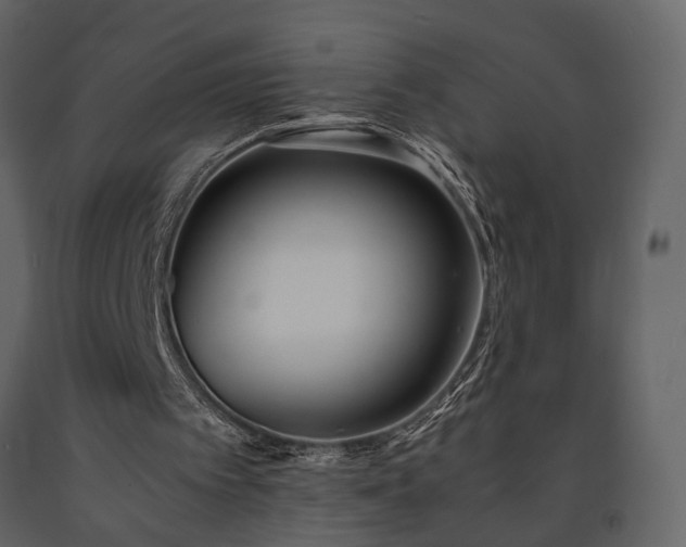 X0000091520097200708241658