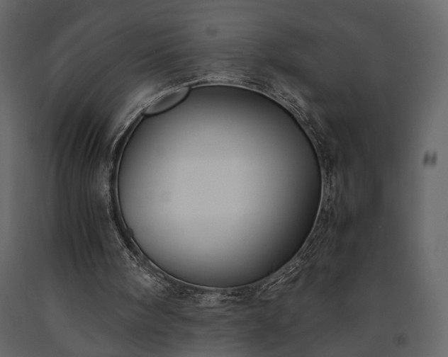 X0000091520098200708241658